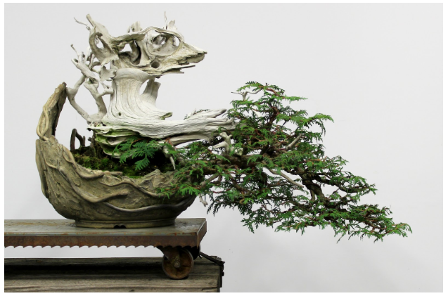 Nick Lenz's Once-in-a-Lifetime Whimsical Bonsai and Ceramics